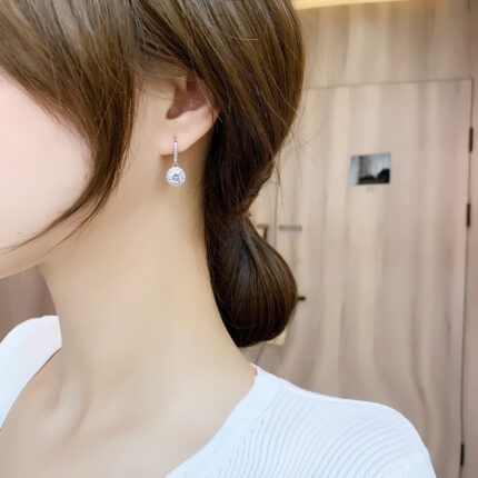 Moissanite Four-claw Round Bag Earrings